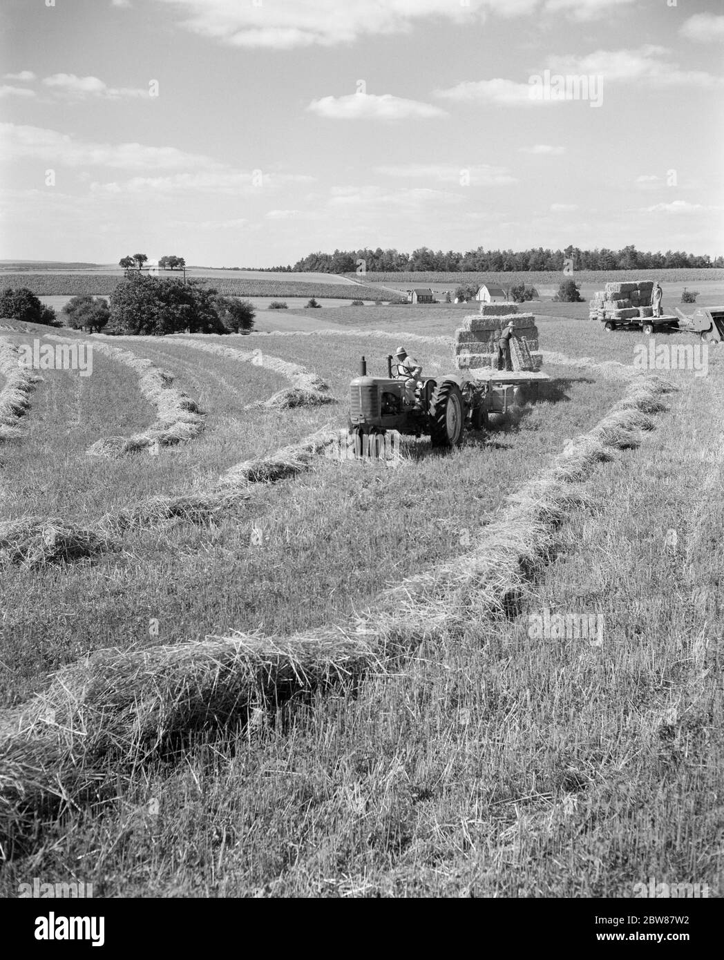 1950S FARMER AUF TRAKTOR SCHLEPPSTROH MIT MANN AUF PRITSCHE BELADEBALLEN USA - F10269 HEL001 HARS BERUFE SCHLEPPTAU MANLY BALLENFUTTER BALLEN SCHWARZ UND WEISS PRITSCHE ALTMODISCH Stockfoto