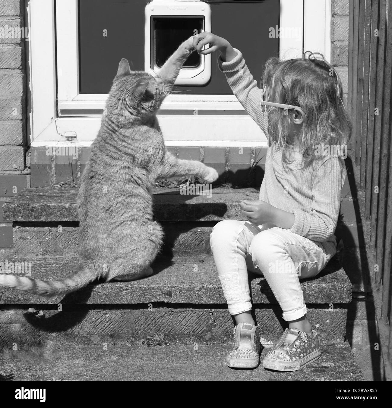 Kleines Kind und Katze spielen vor der Haustür. Schwarz-Weiß Familie Türschwelle Porträt Stockfoto