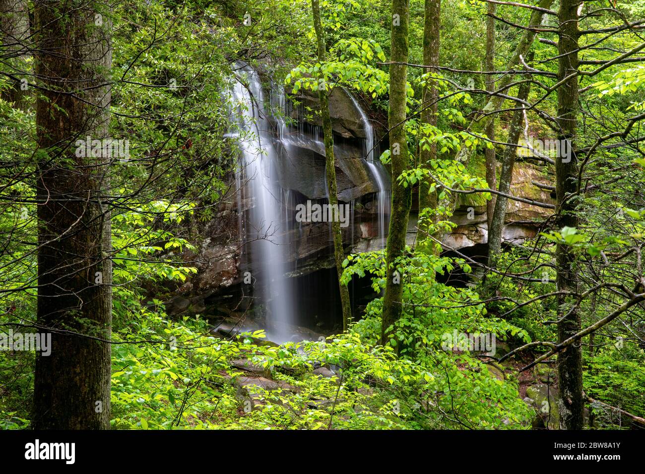 Blick auf Slick Rock Falls durch den Wald im Frühling - Pisgah National Forest, Brevard, North Carolina, USA Stockfoto