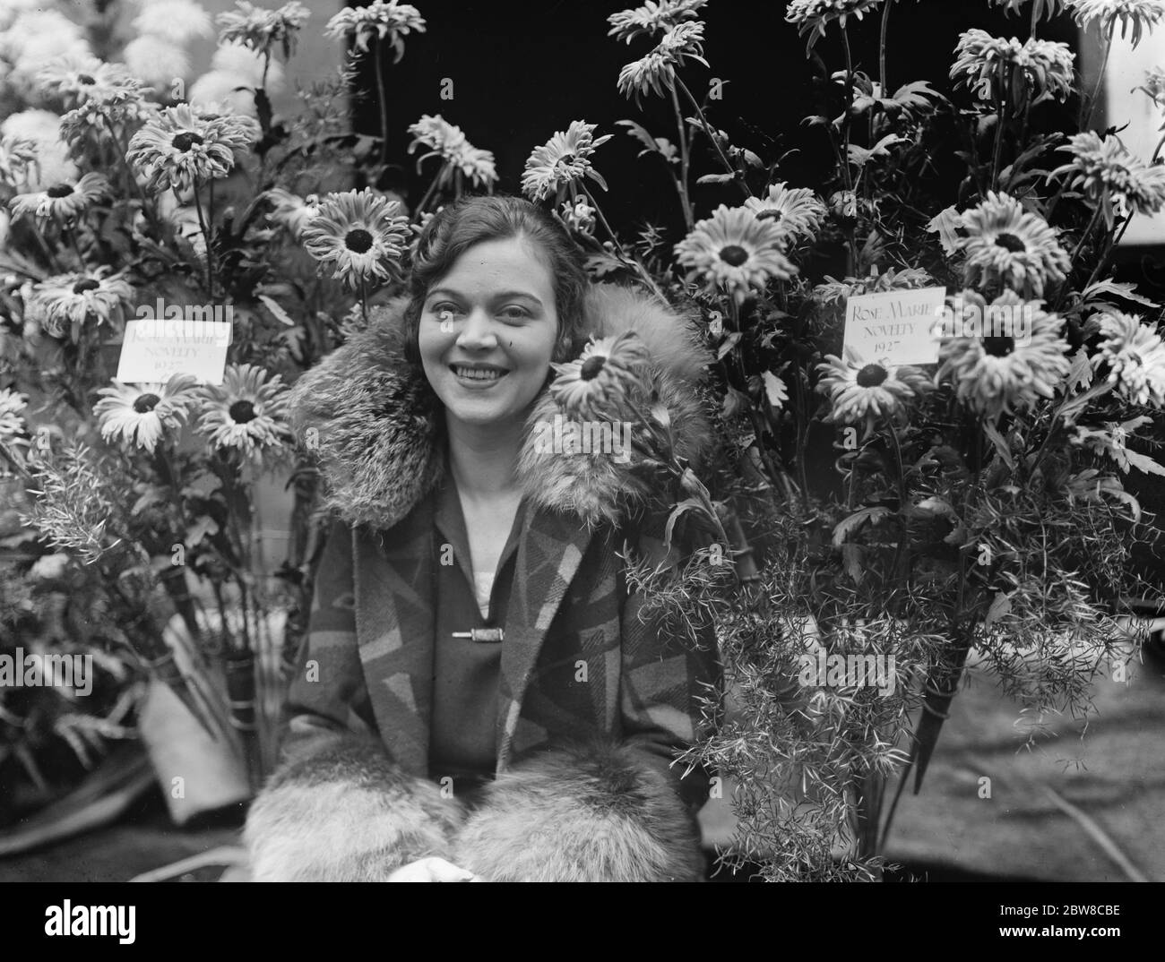 Royal Horticultural Show in der Horticultural Hall . Miss Edith Tag mit Rose Marie Chrysanthemen . 30. November 1926 Stockfoto