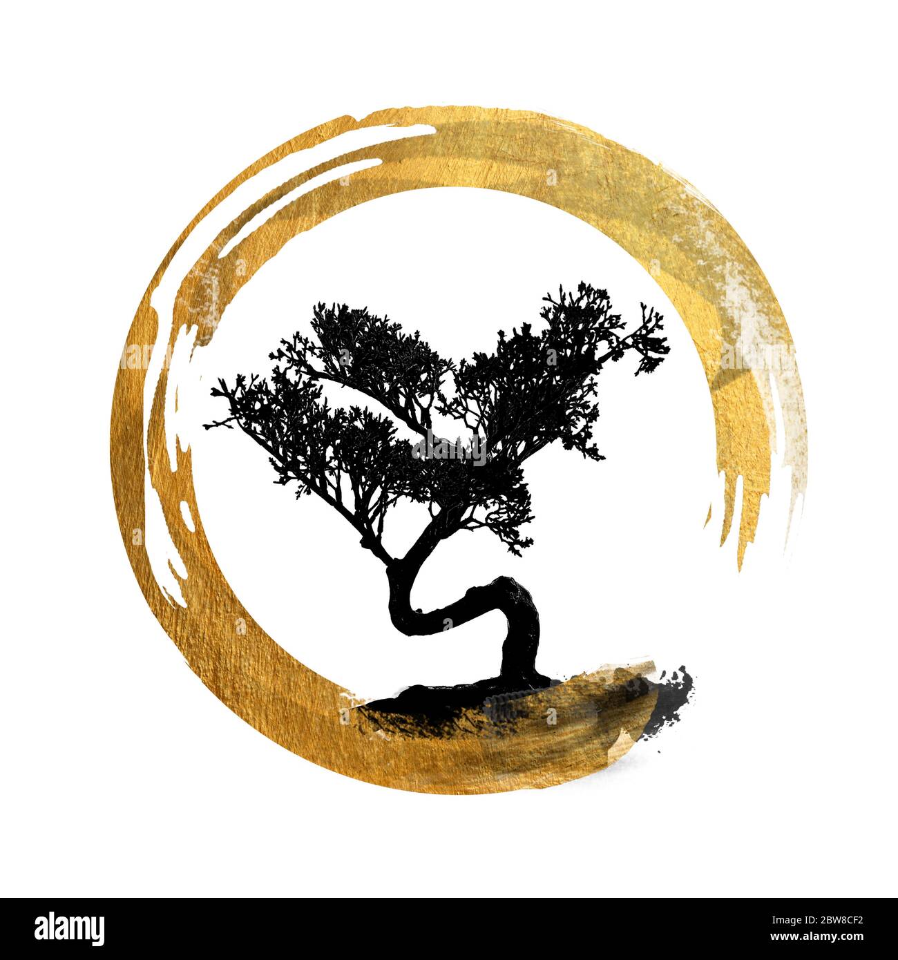 Bonsai Baum, Enso Kreis, Feng Shui Symbol, Asiatische Kunst Kalligraphie, Japanisch / Chinesisch - Kopie, Text, Körper Raum - Hintergrund Isoliert Stockfoto