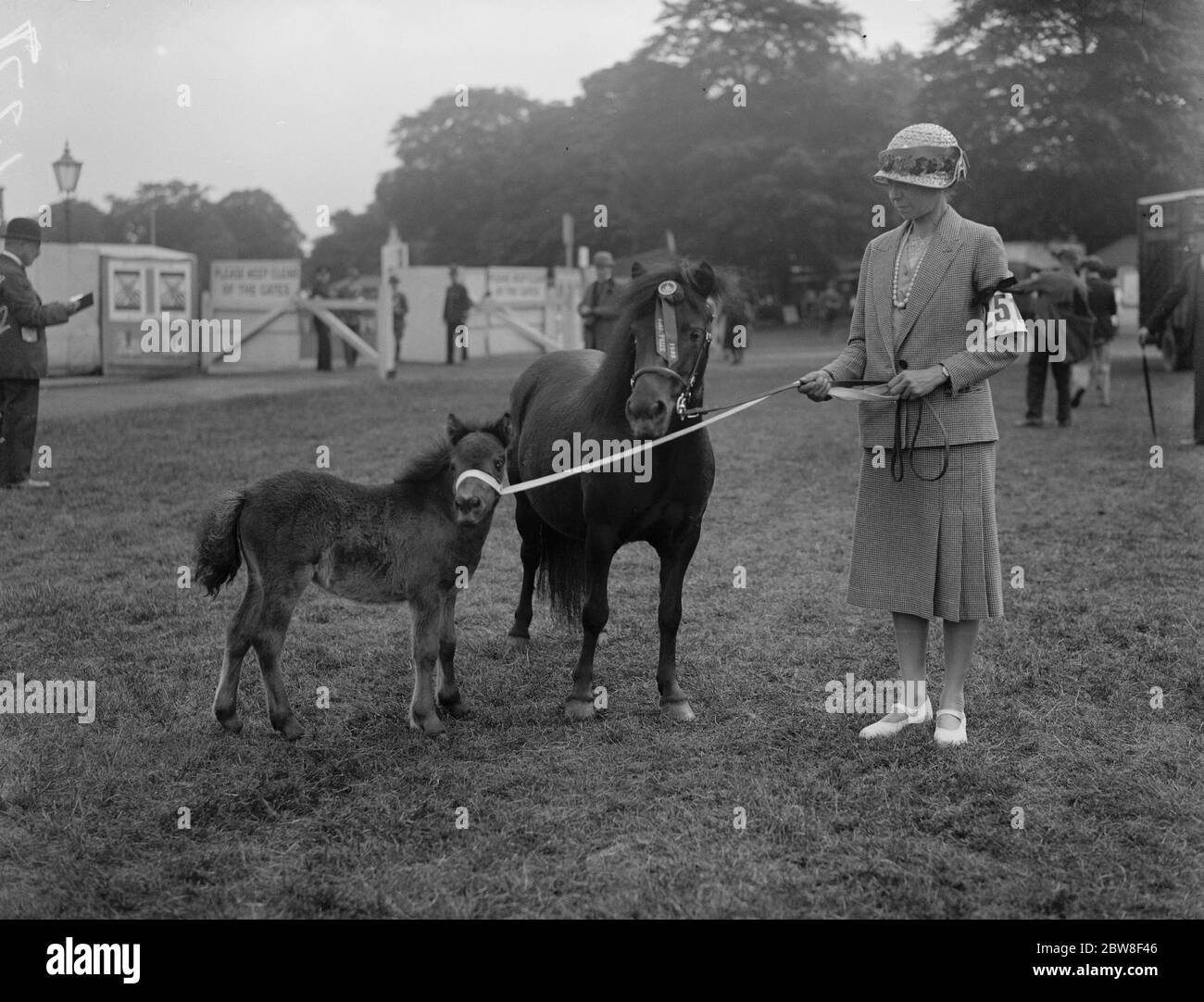 Royal Horse Show in Richmond. Frau G E Atkinson 's Mayflare von Penniwells schwarze Stute und Fohlen Gewinner des ersten Preises für Shetland Ponies ( in der Hand ) . 10 Juni 1932 Stockfoto