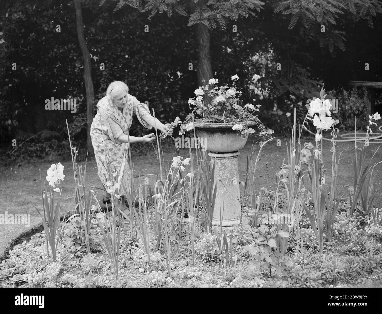 Font (alt) als Gartenblumenständer verwendet. 1937 Stockfoto