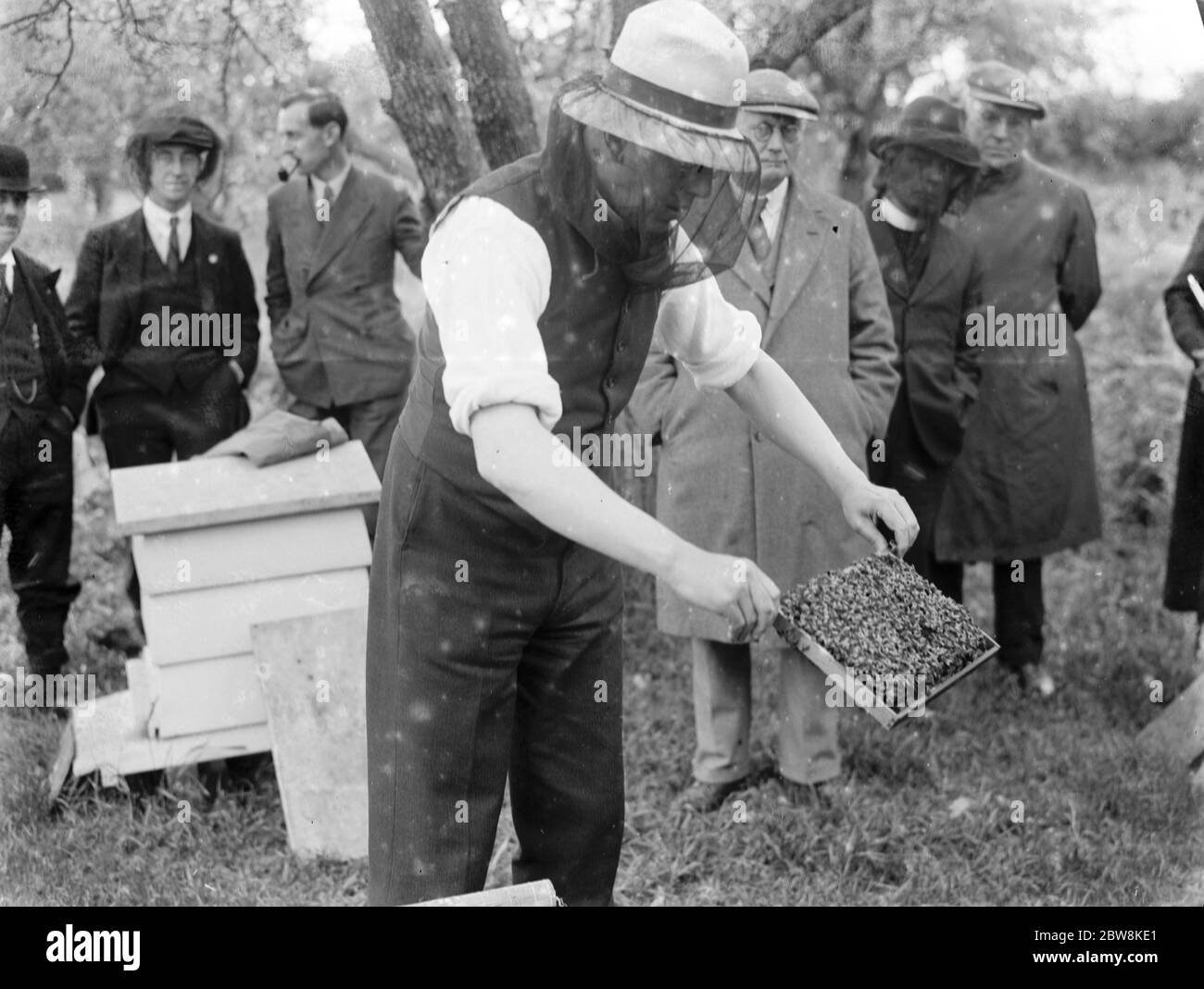 Demonstration Bienenhaltung, die Reverend D L Bryce. 1935 . Stockfoto