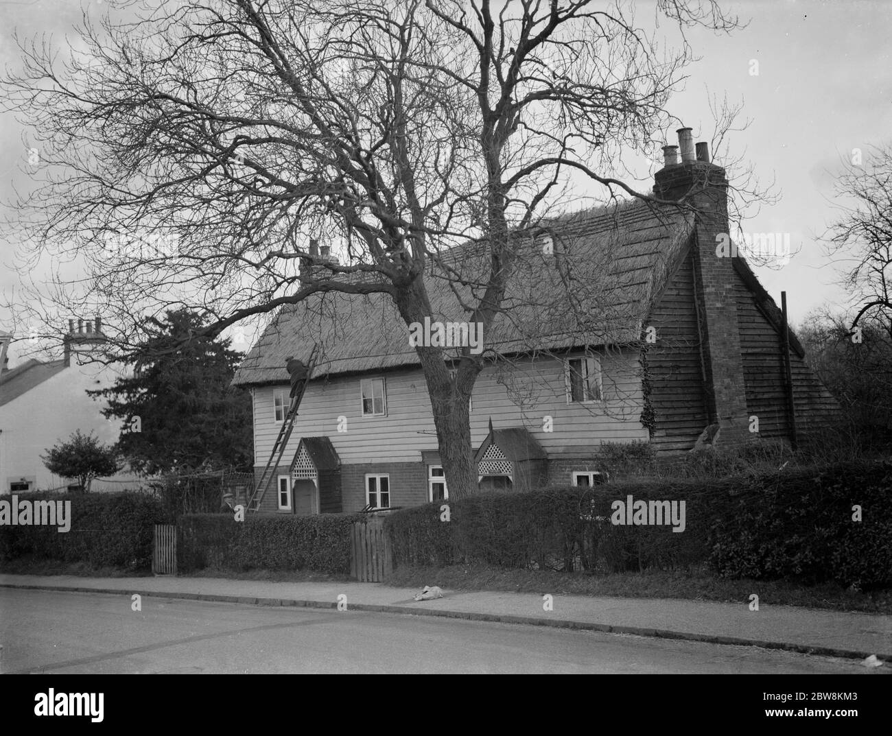 Ein Mann klettert die Leiter hinauf, um einen Blick auf das Strohdach auf dem Dach eines Cottage in Orpington zu werfen. 1935 . Stockfoto