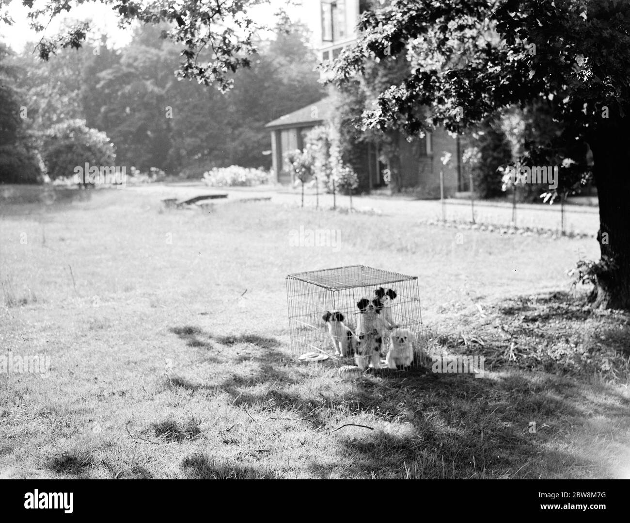 Im Garten bei Kemnel Warren, Chislehurst, Kent. 1935 Stockfoto