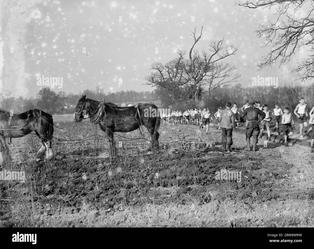 Ein Bauer und sein Pferd Team Pflügen ein Feld, nehmen Sie eine Pause, um Cross-Country-Läufer zu beobachten, laufen vorbei an ihren Feldern. 1936 . Stockfoto