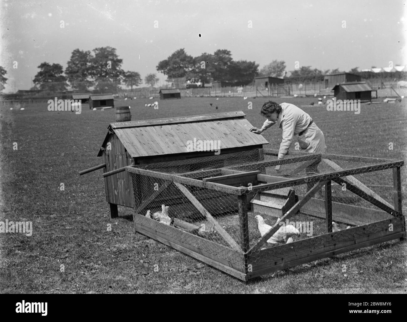 Eine Frau Farmarbeiter Pflege der Hühner . Geflügel Run . 1935 Stockfoto