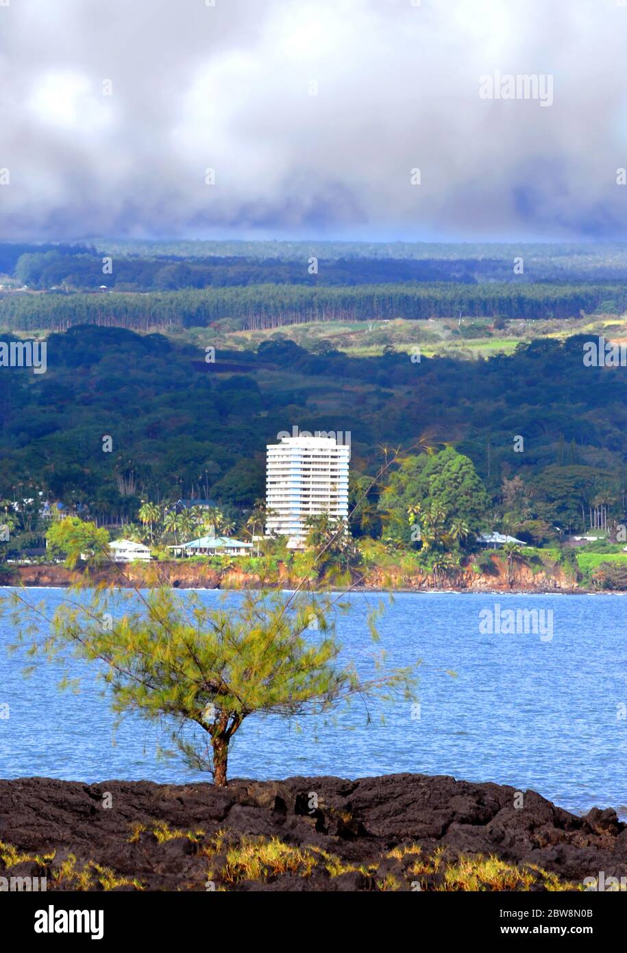 Von der felsigen Küste aus wächst ein kleiner Baum, der einen ungeheuren Blick auf Hilo und die Hilo Bay bietet. Wolken sammeln sich für einen der häufigen Schauer über Hilo. Stockfoto