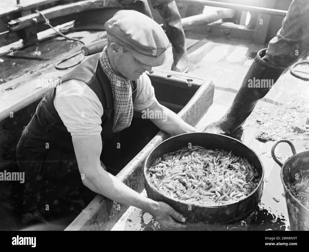 Ein Crewman wäscht die frisch gefangenen Garnelen. 1936 Stockfoto