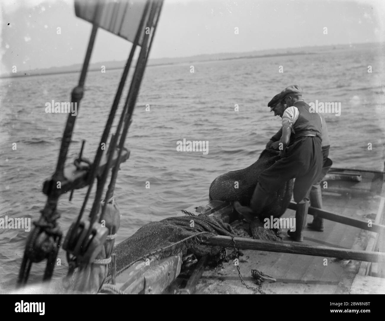 Ein Schiffsmann auf einem Garnelenboot Halle in einem Fang in ihrem Netz . 1936 Stockfoto