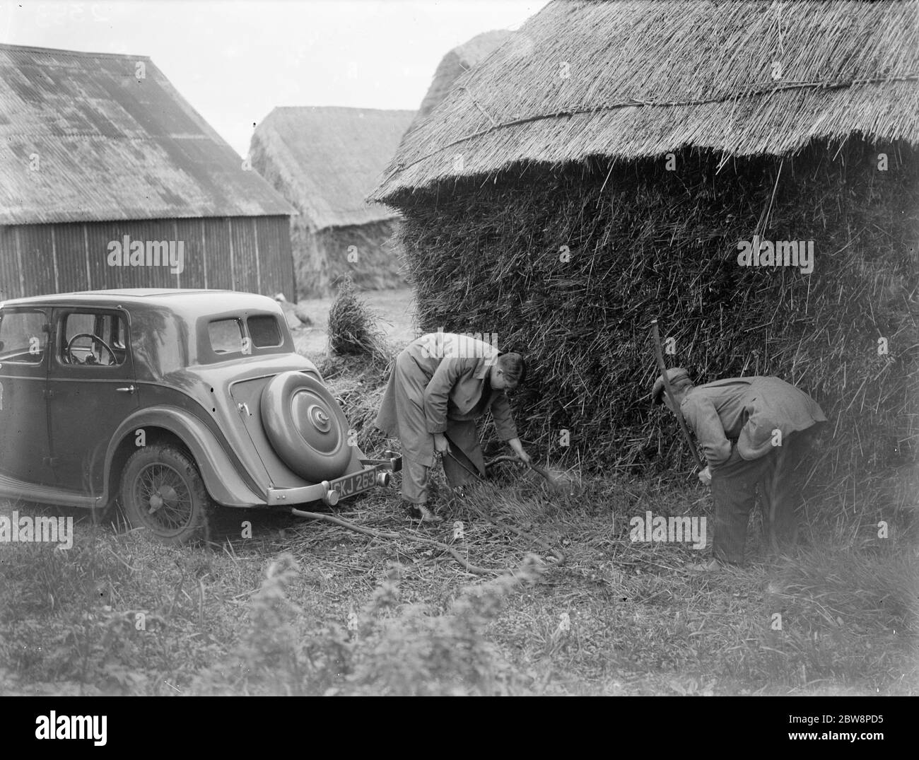 Männer vergasen Ratten im Heu Stapel mit Abgasen aus einem Auto. 1935 Stockfoto