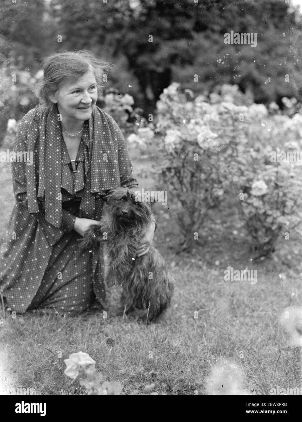 Frau Boune Williams mit dem glücklichen Schafhund, der in Orpington dem Tod entgangen war. 1938 Stockfoto