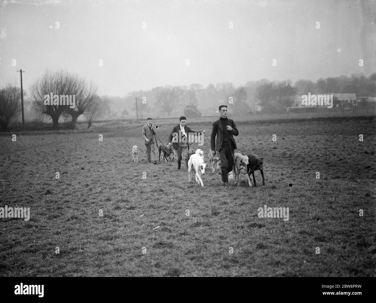 Einige der Windhunde, die in Crayford Rennen Hund auf den Feldern mit ihren Trainern. 1937 . Stockfoto