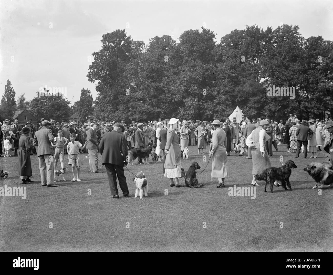 Jubilee Häuser Fete in Sidcup Place. Hunde werden auf Ausstellung gestellt. 1936 Stockfoto