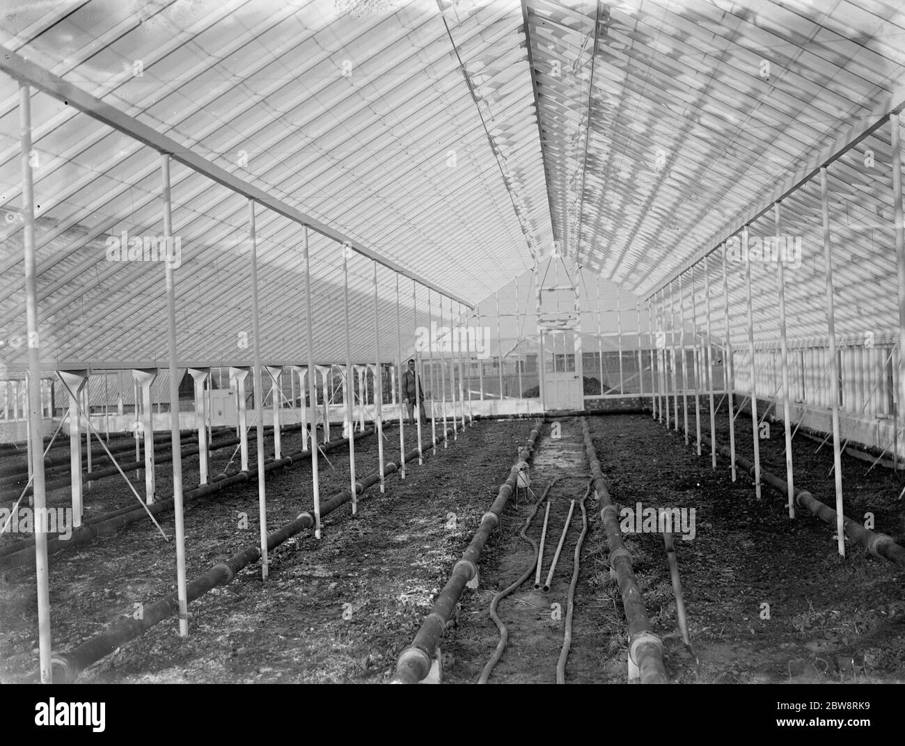 Leeres Glashaus am Horticultural College, Swanley, Kent. 1935 Stockfoto