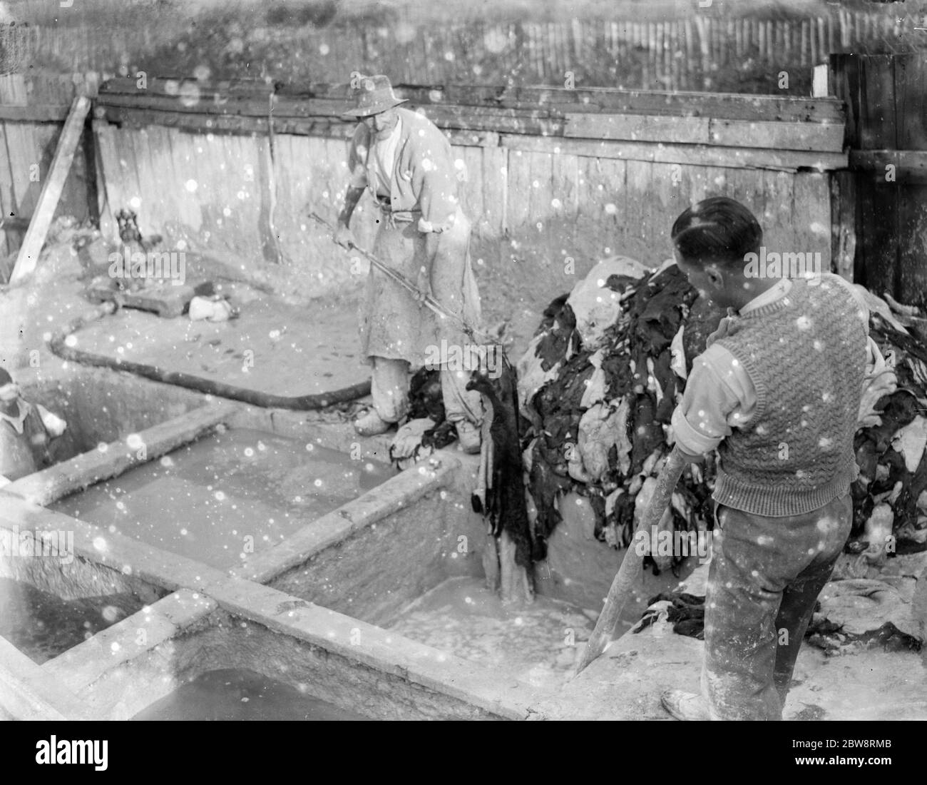 Männer waschen und Futter der Tierhäute bei der Pergament Werke . 1935 Stockfoto