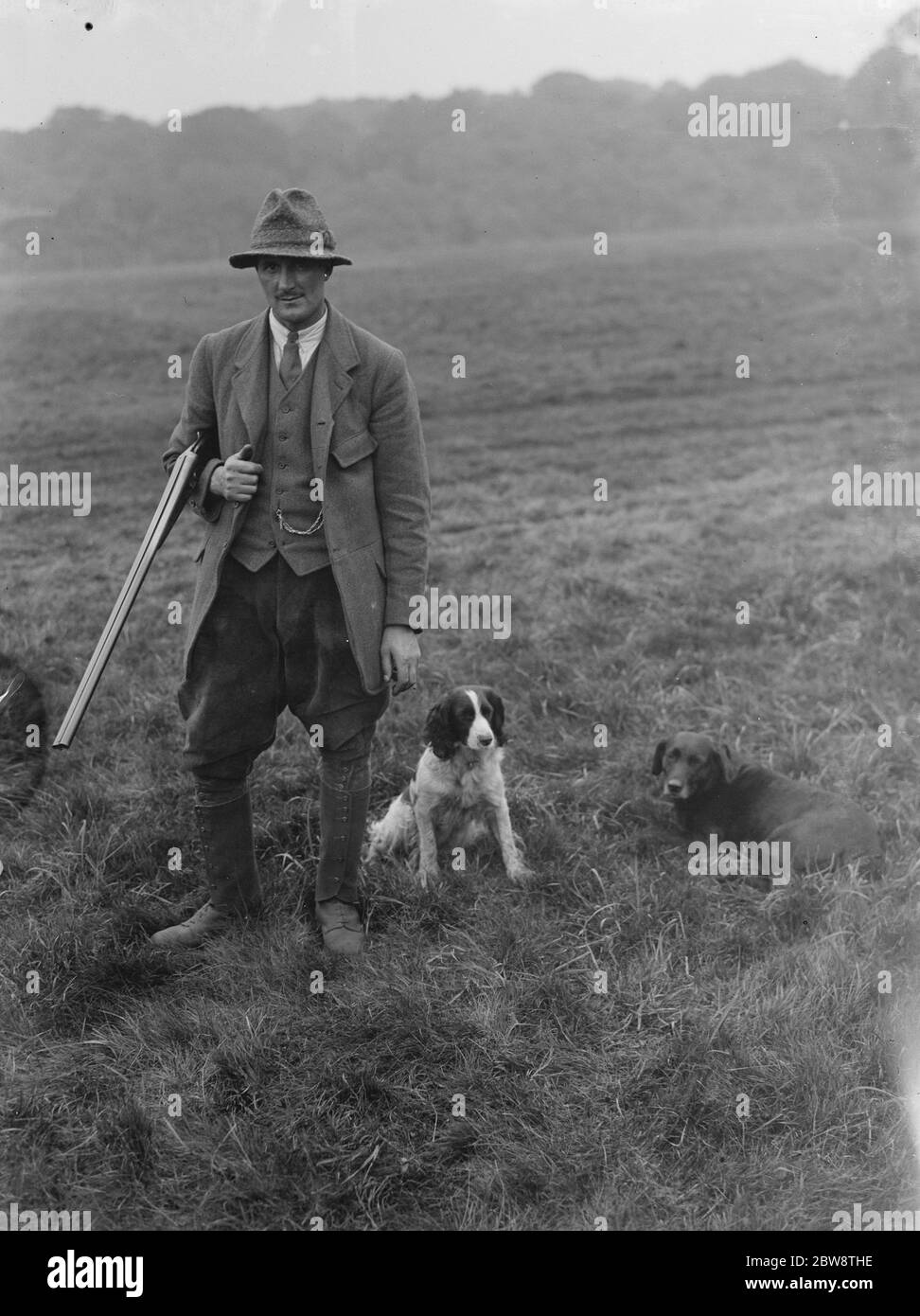 Gamepekeeper Herr Barrett, posiert mit Schrotflinte auf Arm neben seiner Pistole Hunde. 1936 Stockfoto
