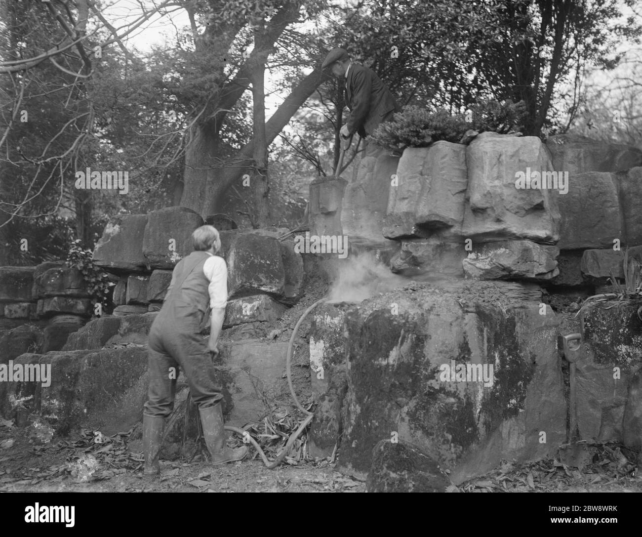 Ein Schädlingsbekämpfer spritzt Cyanogas in einen Steingarten, um Ungeziefer loszuwerden. 1936 Stockfoto