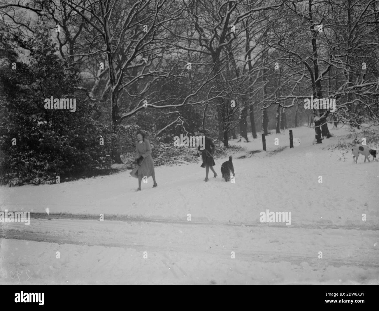 Wanderer und ihre Hunde genießen den Schnee auf Chislehurst Common, Kent. 1936 Stockfoto