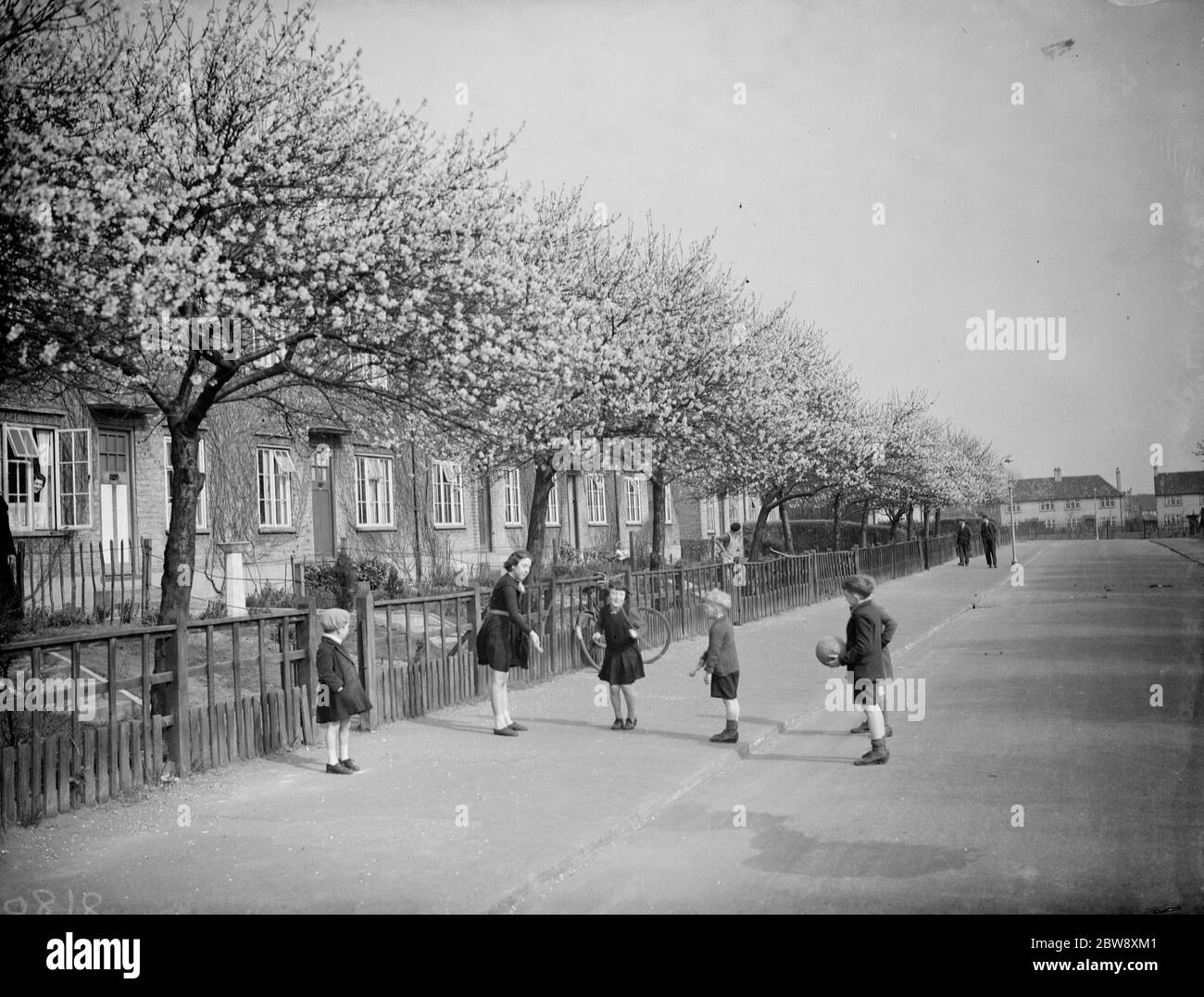 Kinder spielen in einer Straße in Crayford unter den Mandelblüten Bäume. 1938 Stockfoto