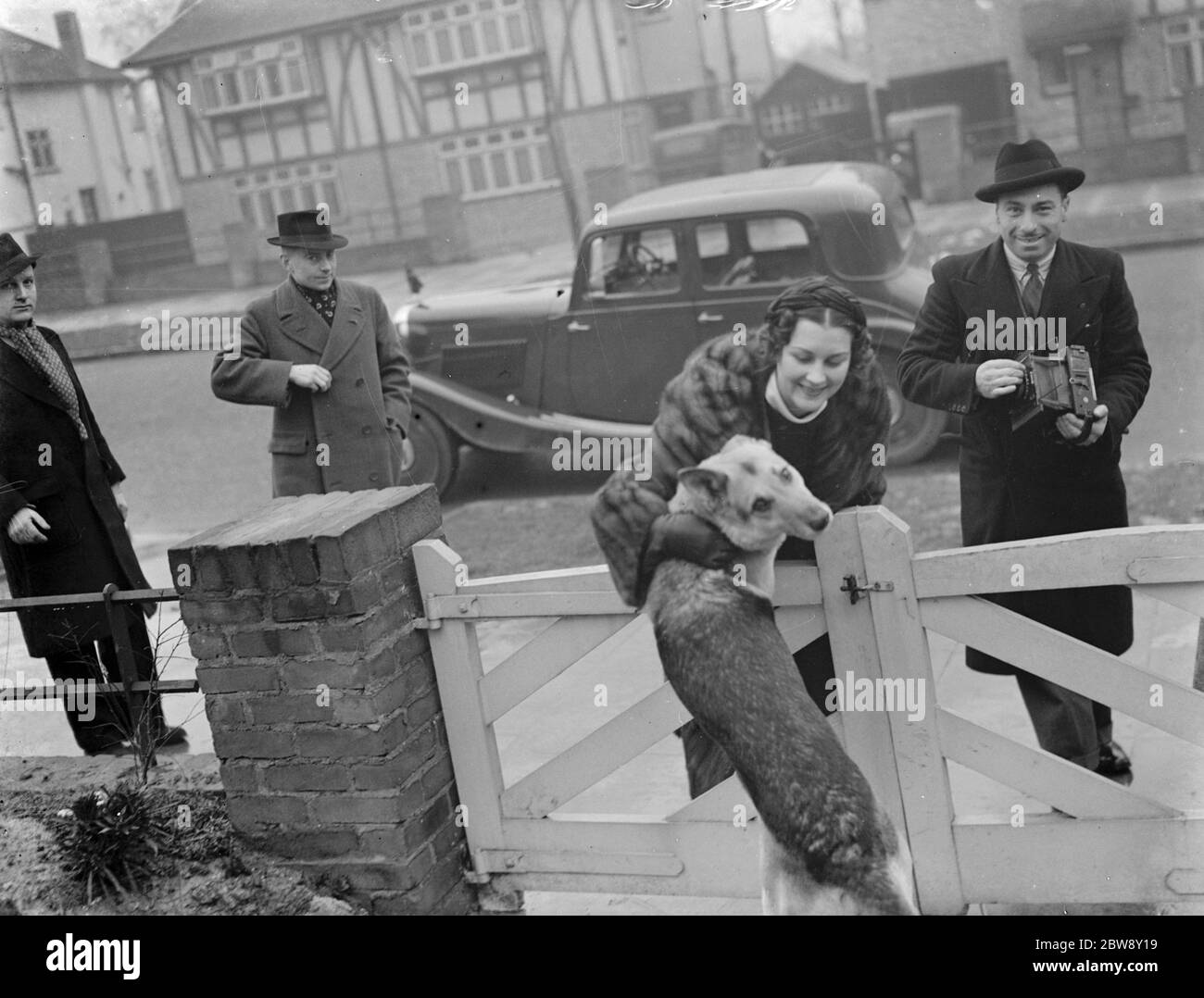 Miss Muriel Oxford wird von einem erregbaren Hund am Tor begrüßt. 1937 Stockfoto