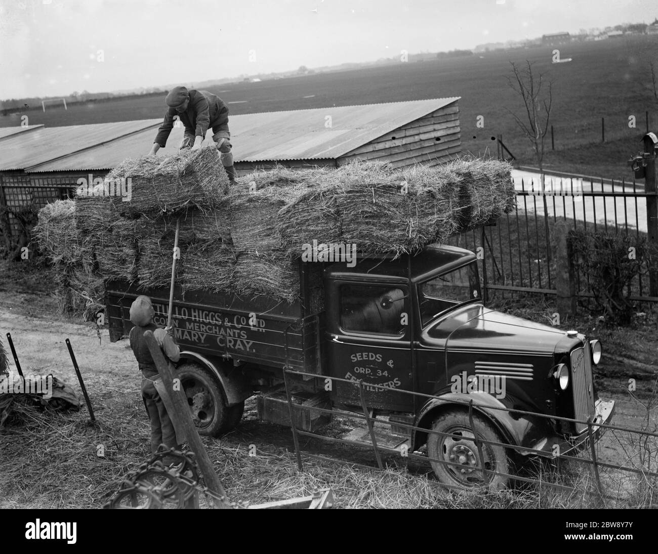 Mitarbeiter von Pattullo Higgs and Co Ltd laden Heuballen auf ihren LKW von Bedford in St Mary Cray, Kent. 21 Februar 1936 . Stockfoto