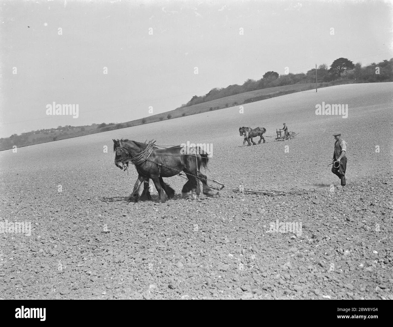 Im Vordergrund verwendet ein Bauer eine von Pferden gezogene Egge, während dahinter ein Bauer mit einem von Pferden gezogenen Suntyne-Sämaschine die neue Ernte Pflanzen kann. 1939 . Stockfoto