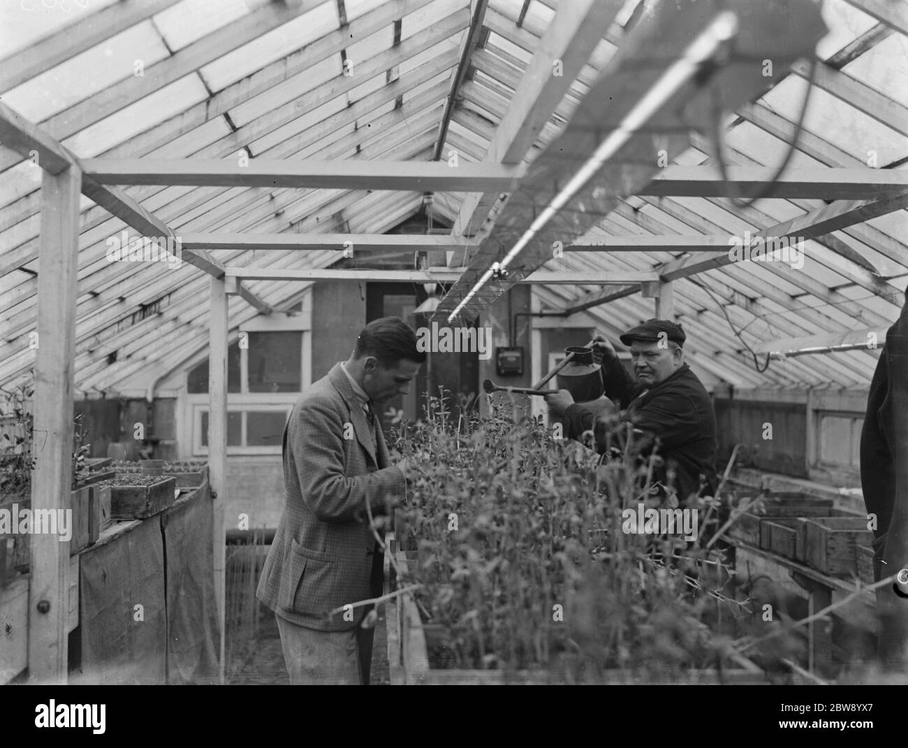 Testen eines Handimac UV-Strahlungslichts zur Tötung von Insekten an der East Malling Forschungsstation in Kent. 1937 Stockfoto