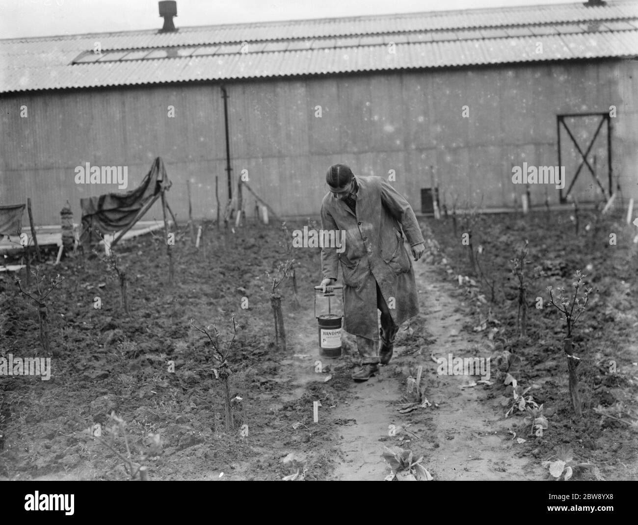 Ein Mann, der auf der East Malling Research Station in Kent Handimac UV-Licht zum Töten von Insekten verwendet. 1937 Stockfoto