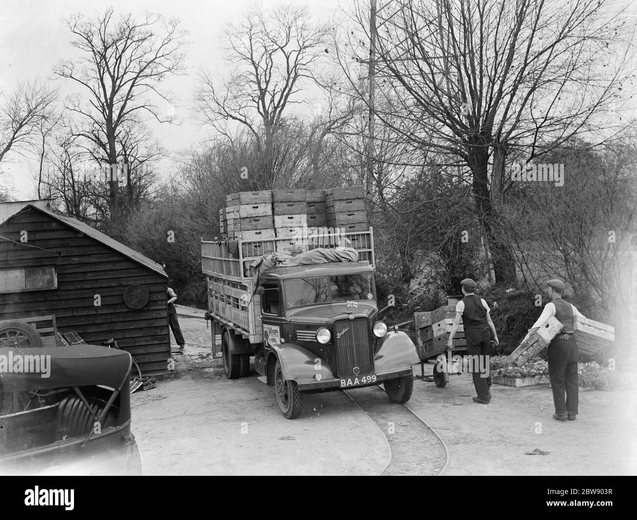 Arbeiter laden Holzkisten auf einen Bedford LKW von E James und Son , die Wasserkresse und Salatbauern aus Mitcham , London . 1937 Stockfoto