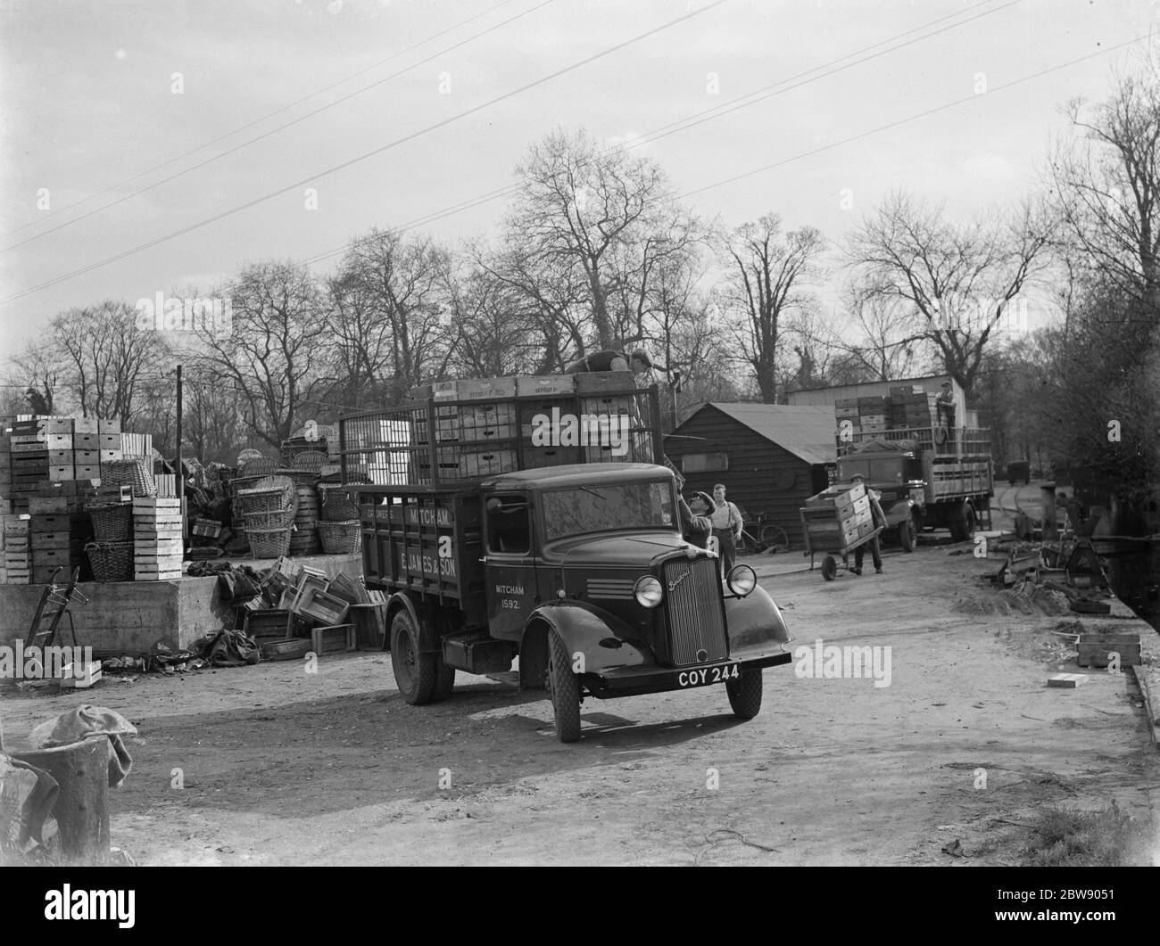 Arbeiter laden Holzkisten auf einen Bedford LKW von E James und Son , die Wasserkresse und Salatbauern aus Mitcham , London . 1937 Stockfoto