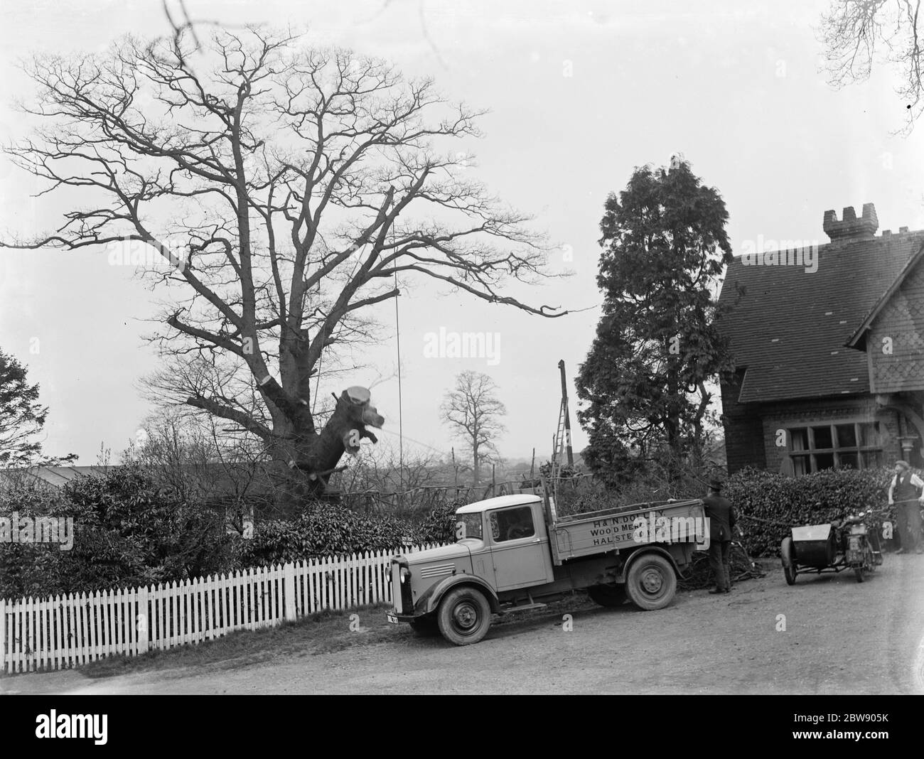 Arbeiter für H & M Dolley 's, der Holzhändler, Fällen von Bäumen in Stansted, London. Der Bedford-LKW des Unternehmens steht neben dem Job. 1937 Stockfoto