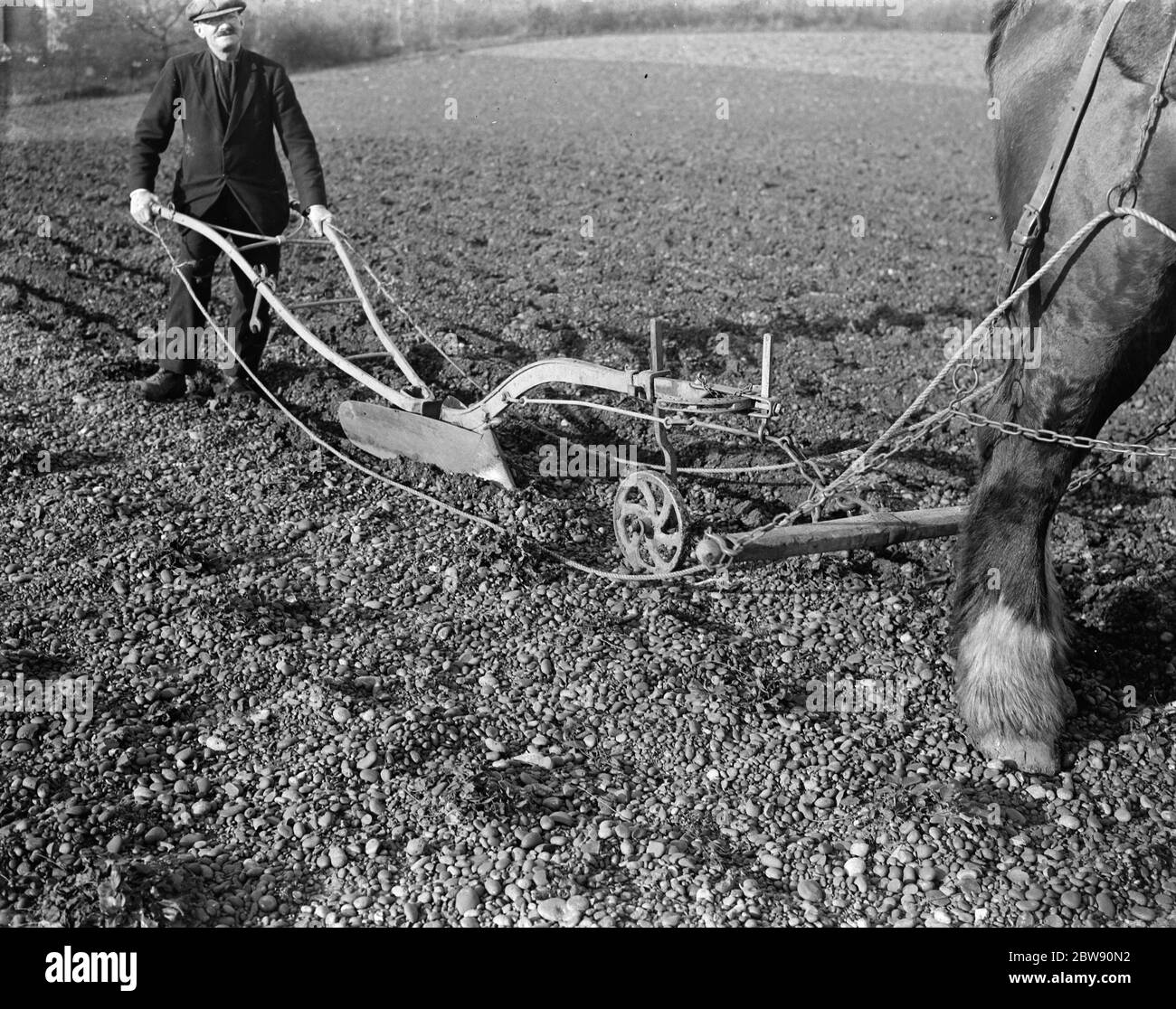 Ein Bauer und sein Pferd pflügen ein steiniges Feld. 1939 . Stockfoto