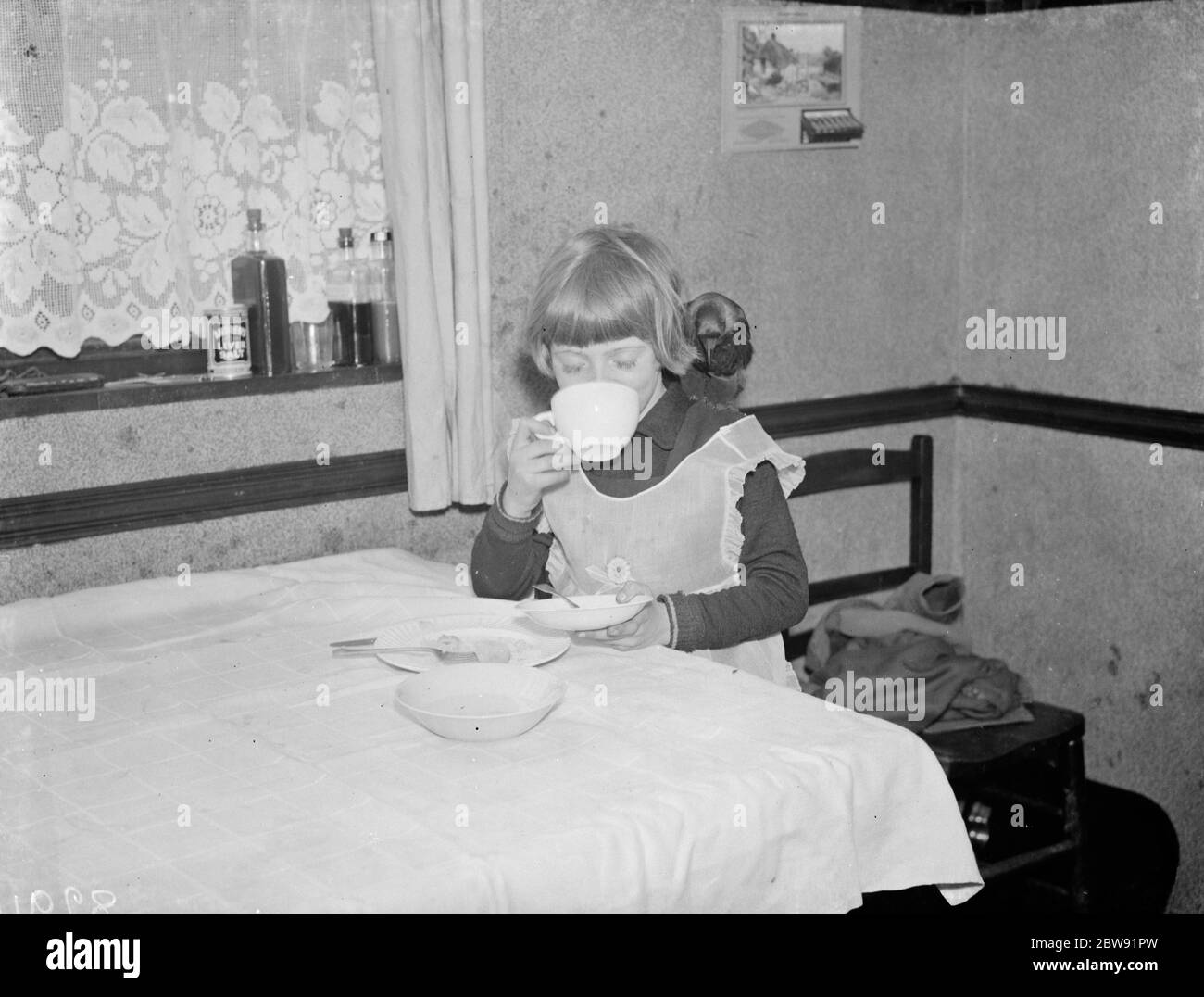 Kleine Ann Bowers beim Frühstück mit ihrer zahmen Dockenwracke, Eynsford, Kent. 21 März 1938 Stockfoto