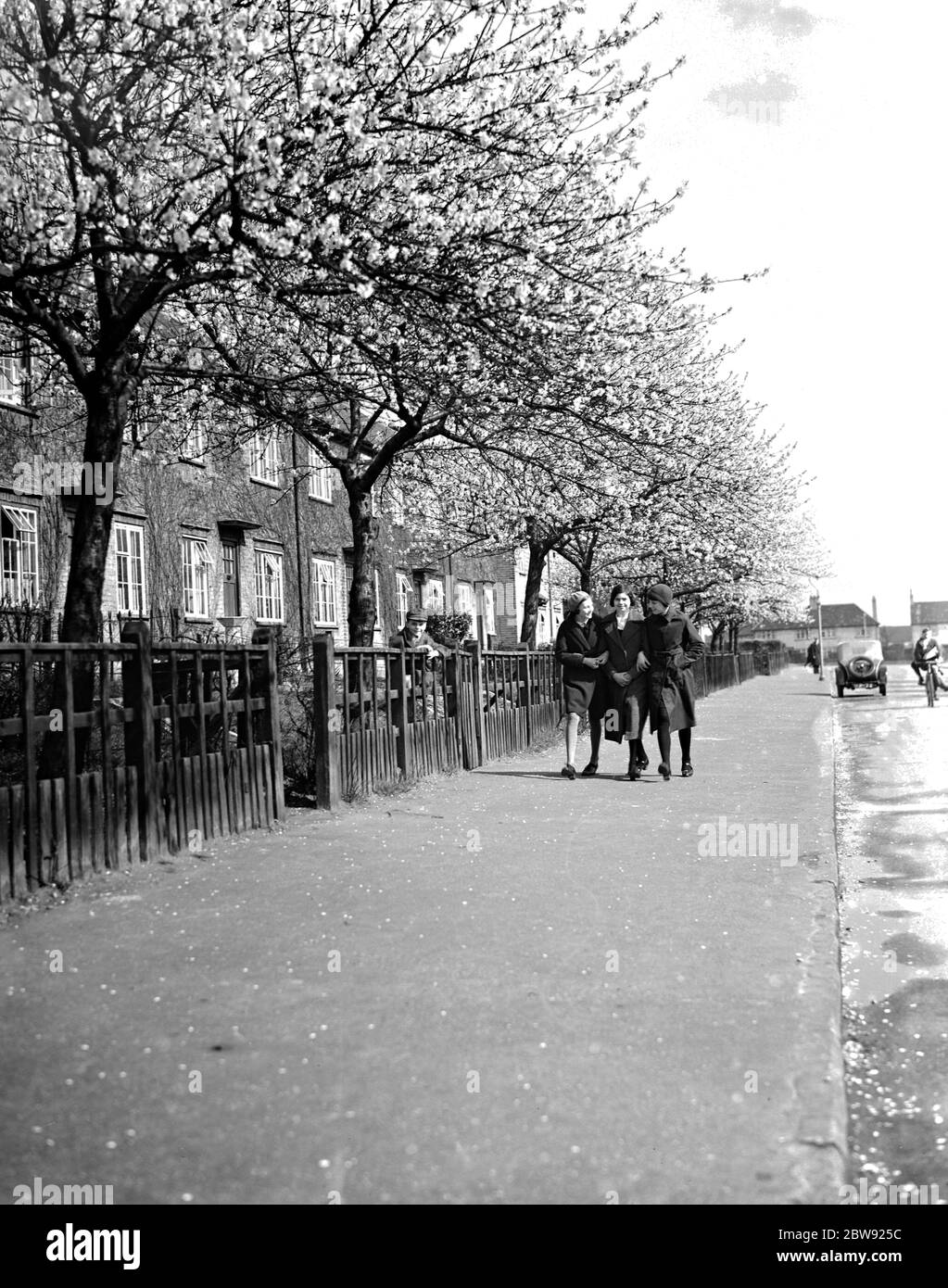 Drei junge Gilrs gehen Arm in Arm eine Straße hinunter, die von Bäumen in voller Blüte gesäumt ist in Crayford, Kent. 1936 Stockfoto