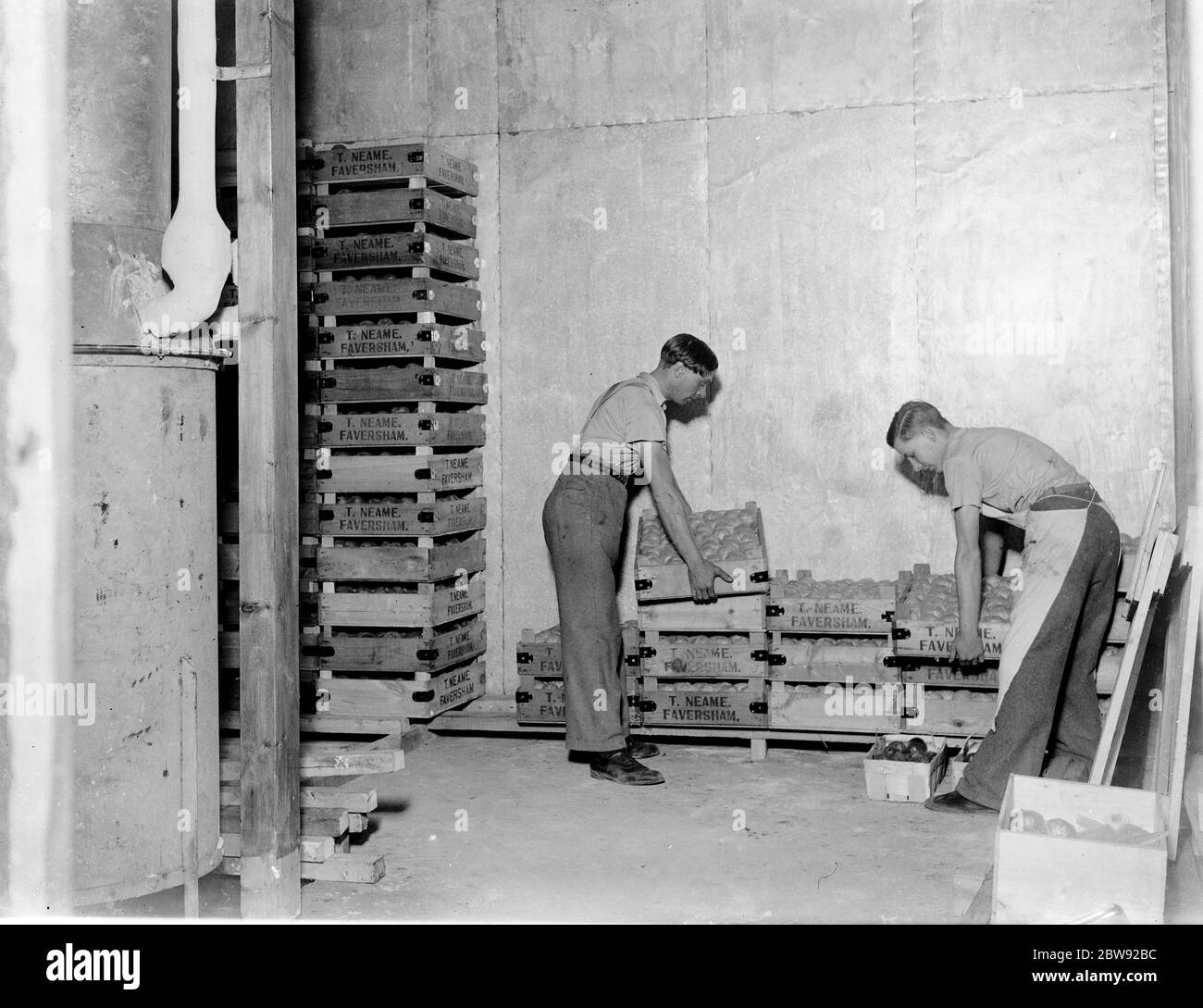 Arbeiter laden Kisten von Obst in Kühllager . 1939 Stockfoto