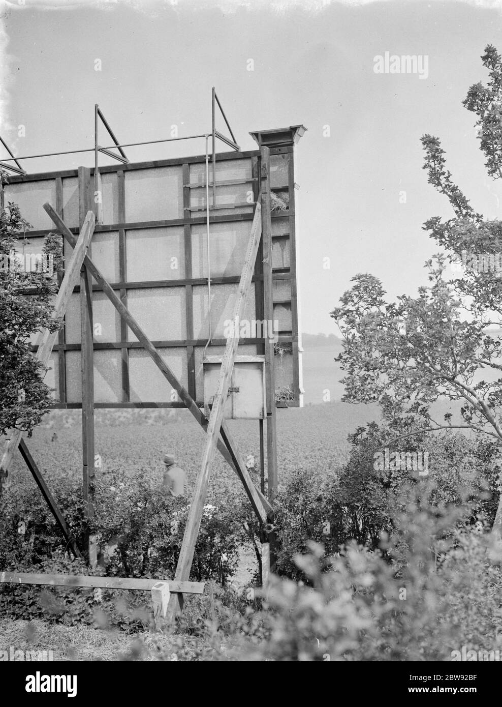 Vogel ' s Nester in der Rückseite eines Werbehorts , Ruxley , Kent . 1938 Stockfoto