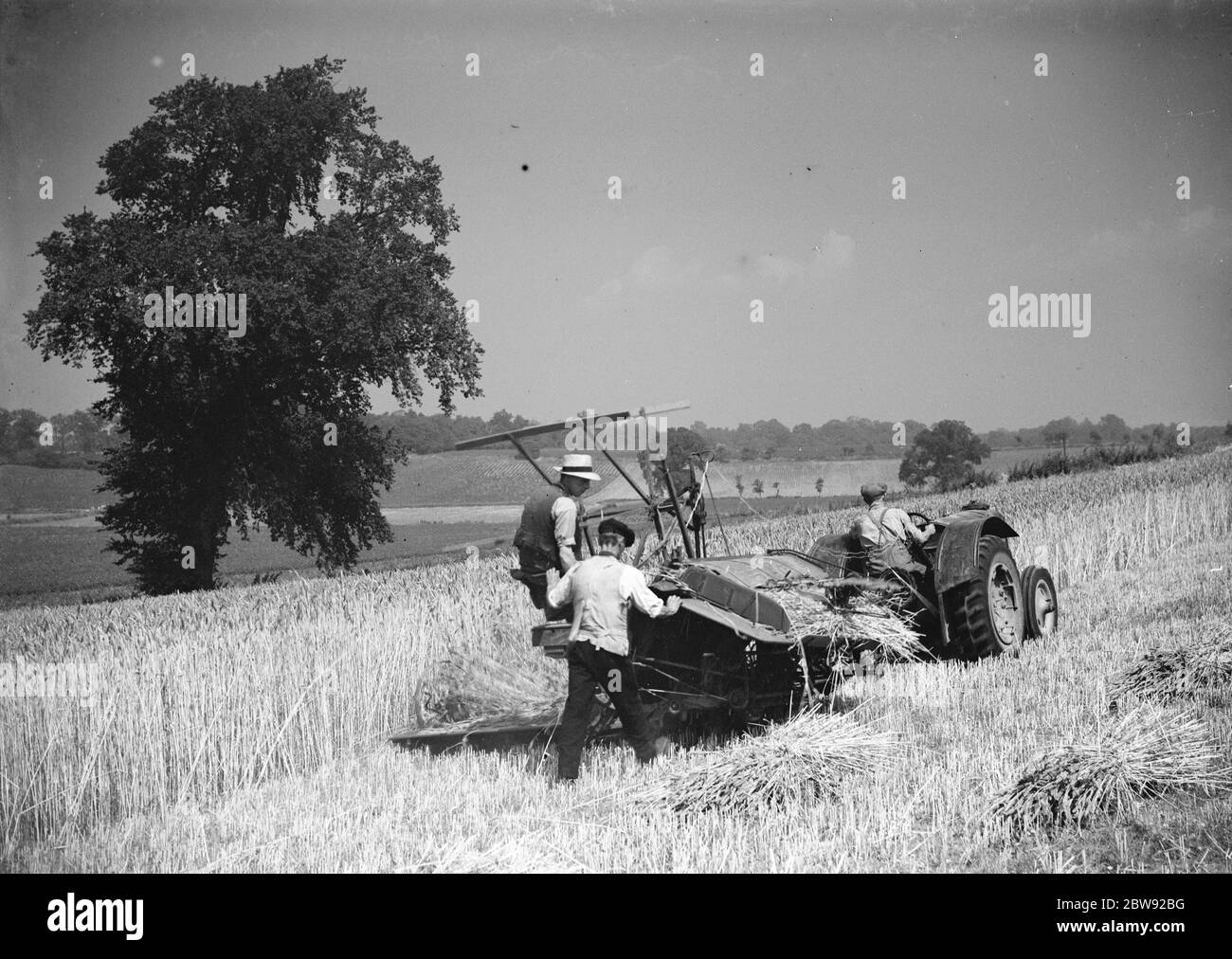 Ein Landwirt Ernte seine Ernte mit einem Traktor gezogen kombinieren. 1939 . Stockfoto