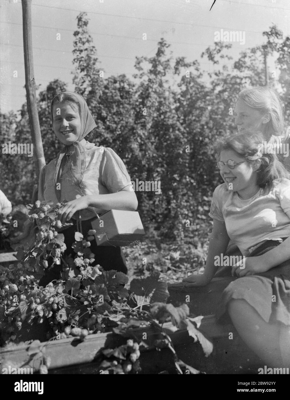 Frauen Hopfenpicker in Beltring, Kent. Jeder Arbeiter hat eine Gasmaske über der Schulter in der Box im Falle eines Gasangriffs . 1939 . Stockfoto