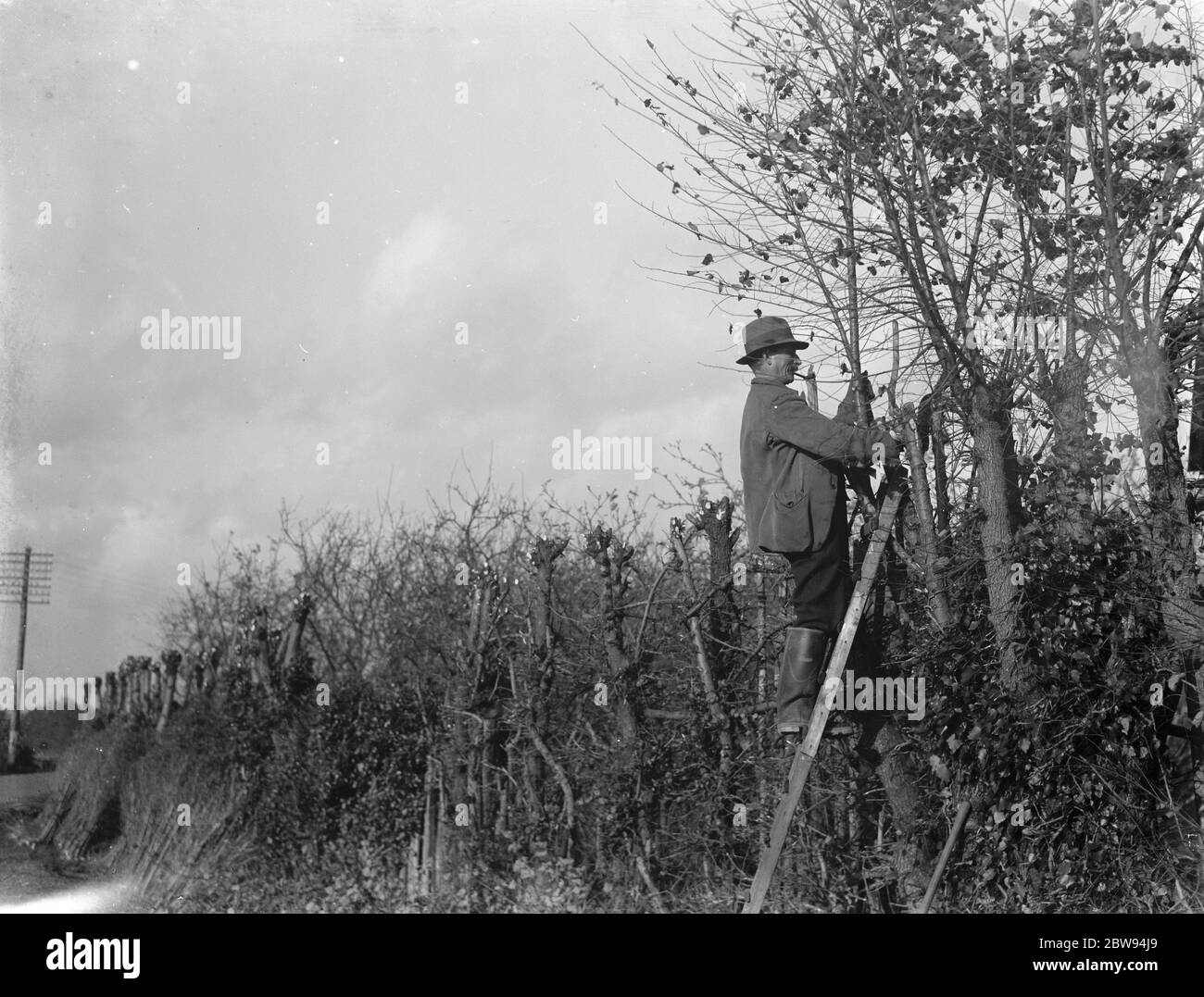 Bauern schneiden Hecken von Hand in Beltring , Kent . 1936 Stockfoto