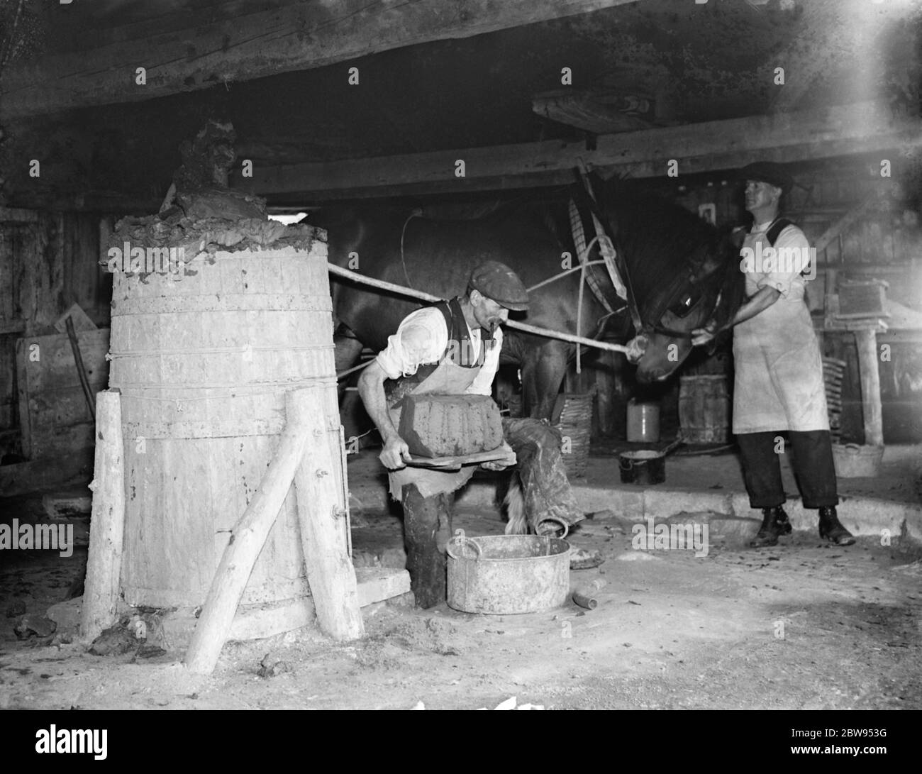 Herstellung von Lehmziegeln mit einer Pferdepresse. 1936. Stockfoto