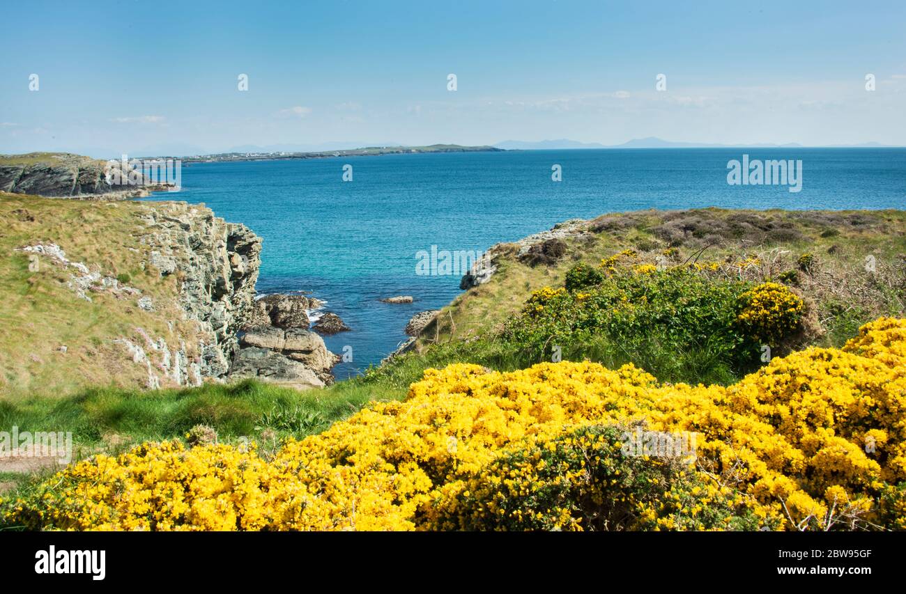 Anglesey 2020 Stockfoto