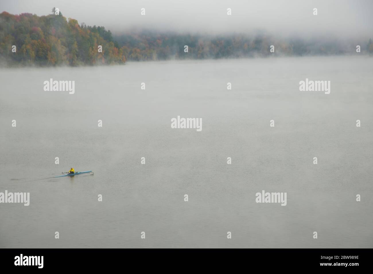 Ein einköpfige Person rudert sein Boot, während sich der Nebel während der Hochblättertölpel auf dem Waterbury Stausee in Waterbury, Vermont, zu heben beginnt. Stockfoto