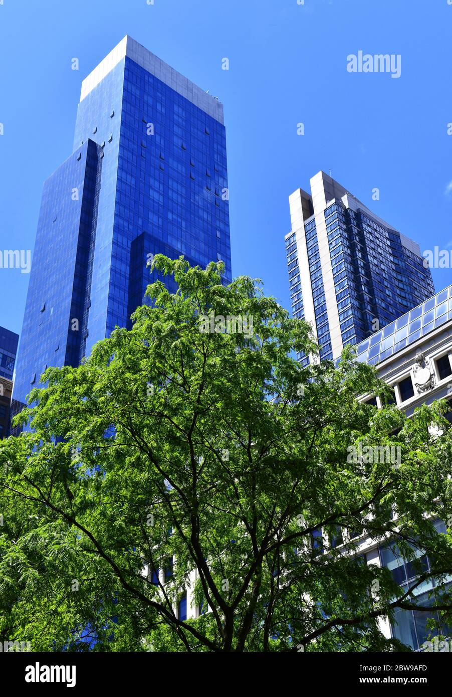 Hoher Hochhaus-Wolkenkratzer mit blauem Himmel in Manhattan New York Stockfoto