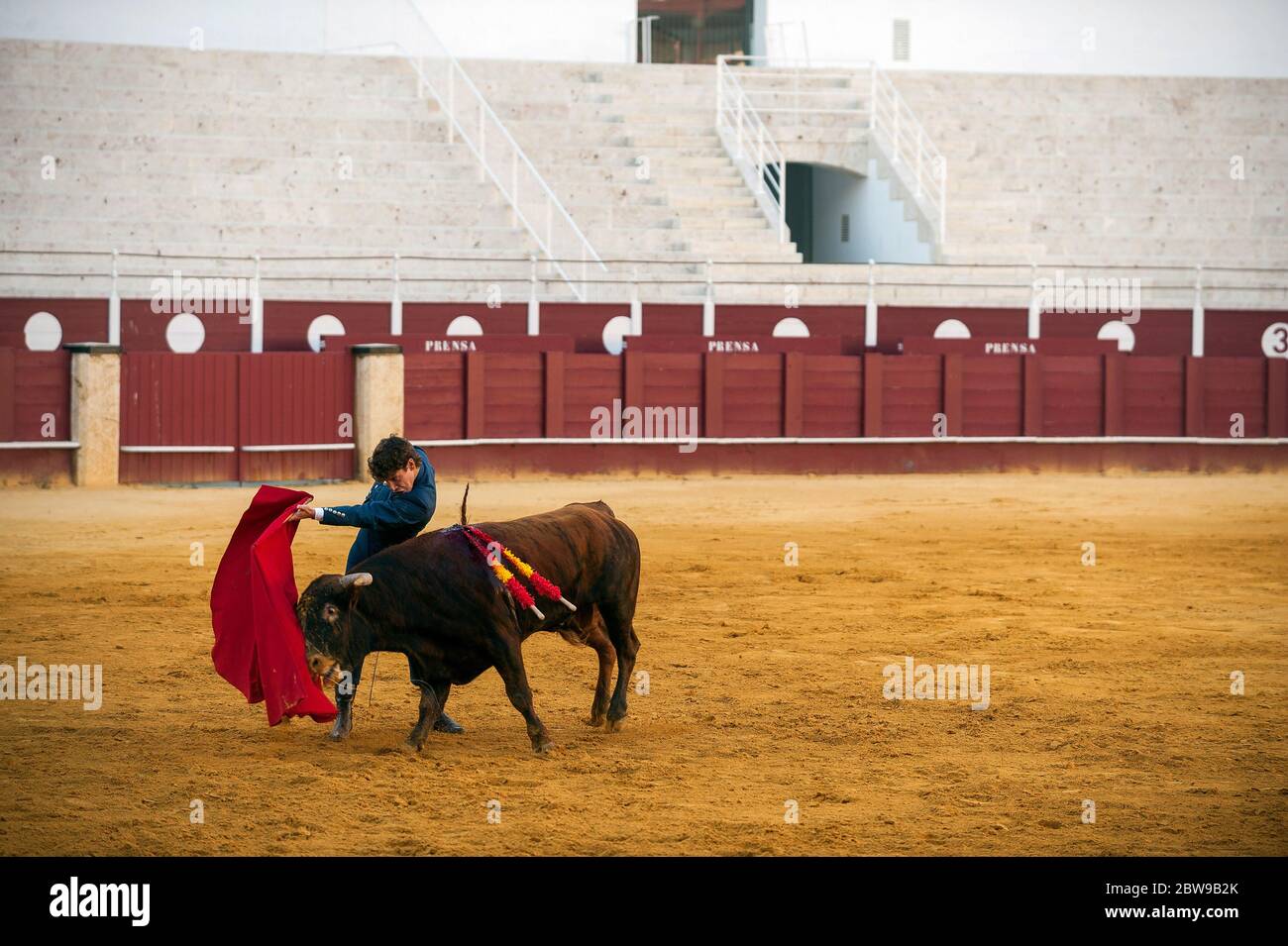 Der spanische Stierkämpfer Fernando Rey tritt mit einem Steer während einer Meisterklasse der Stierkämpfe auf einer leeren Stierkampfarena von La Malagueta auf, während die teilweise Sperrung im Land inmitten der Coronavirus-Krankheit fortgesetzt wird. Der spanische Stierkämpfer Fernando Rey hat einen Meisterkurs mit Studenten der Stierkampfschule ohne Anwesenheit von Zuschauern gegeben, um die Ausbreitung des Coronavirus zu verhindern. Diese Situation zeigt eine leere Stierkampfarena und ist das erste Stierkampf-Ereignis in der Stadt seit dem Beginn des Notstandes. Stockfoto