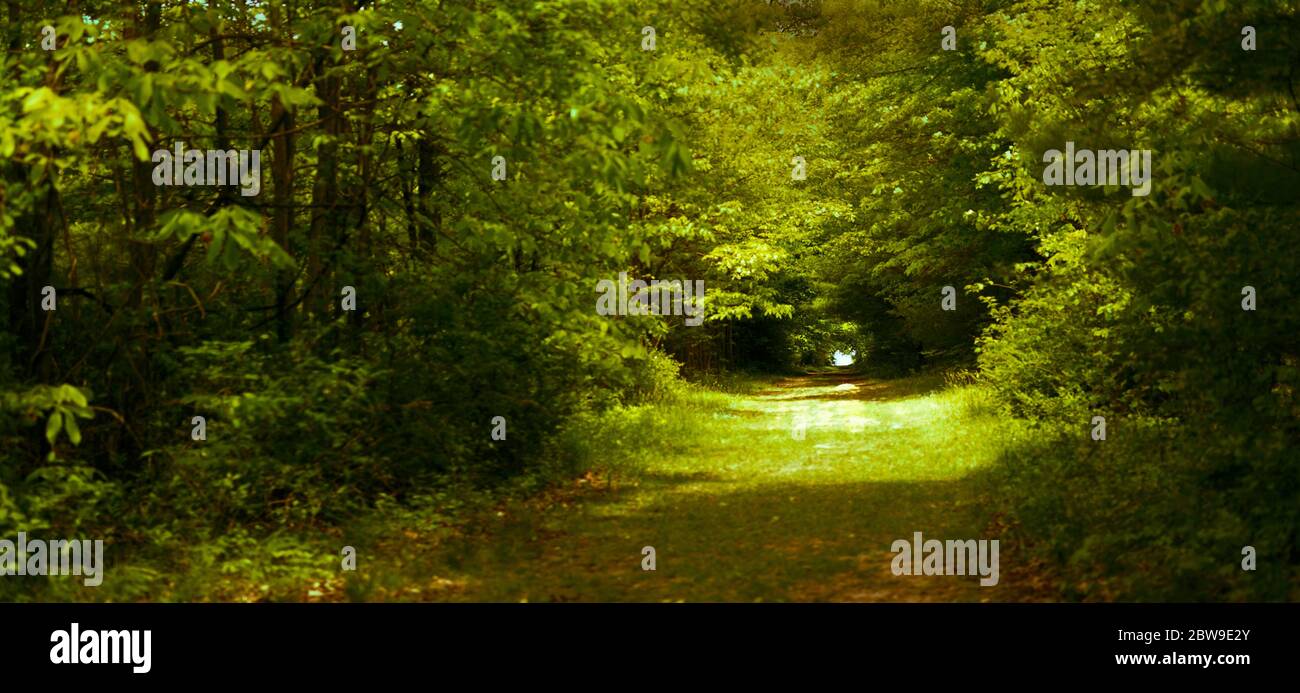 Licht am Ende des Pfades Stockfoto