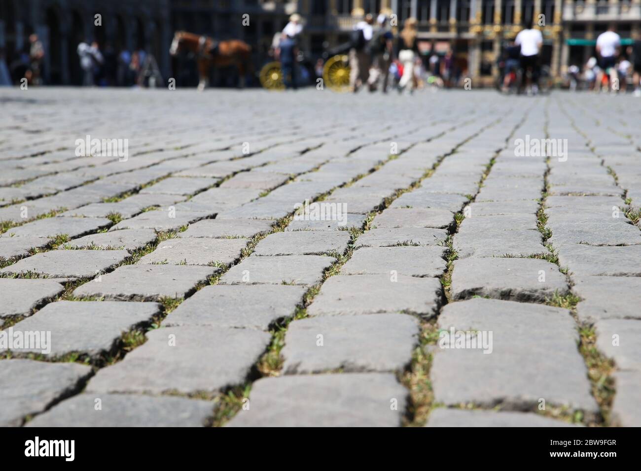 Brüssel, Belgien. Mai 2020. Grünes Gras ist zwischen den Steinen auf dem Grand Place in Brüssel, Belgien, 30. Mai 2020 zu sehen. Von der Pandemie der COVID-19 und den Messungen der Gefangenschaft betroffen, sank die Zahl der Touristen auf dem Grand Place, einem bekannten Weltkulturerbe in Brüssel, in den letzten Monaten dramatisch. Kredit: Zheng Huansong/Xinhua/Alamy Live News Stockfoto