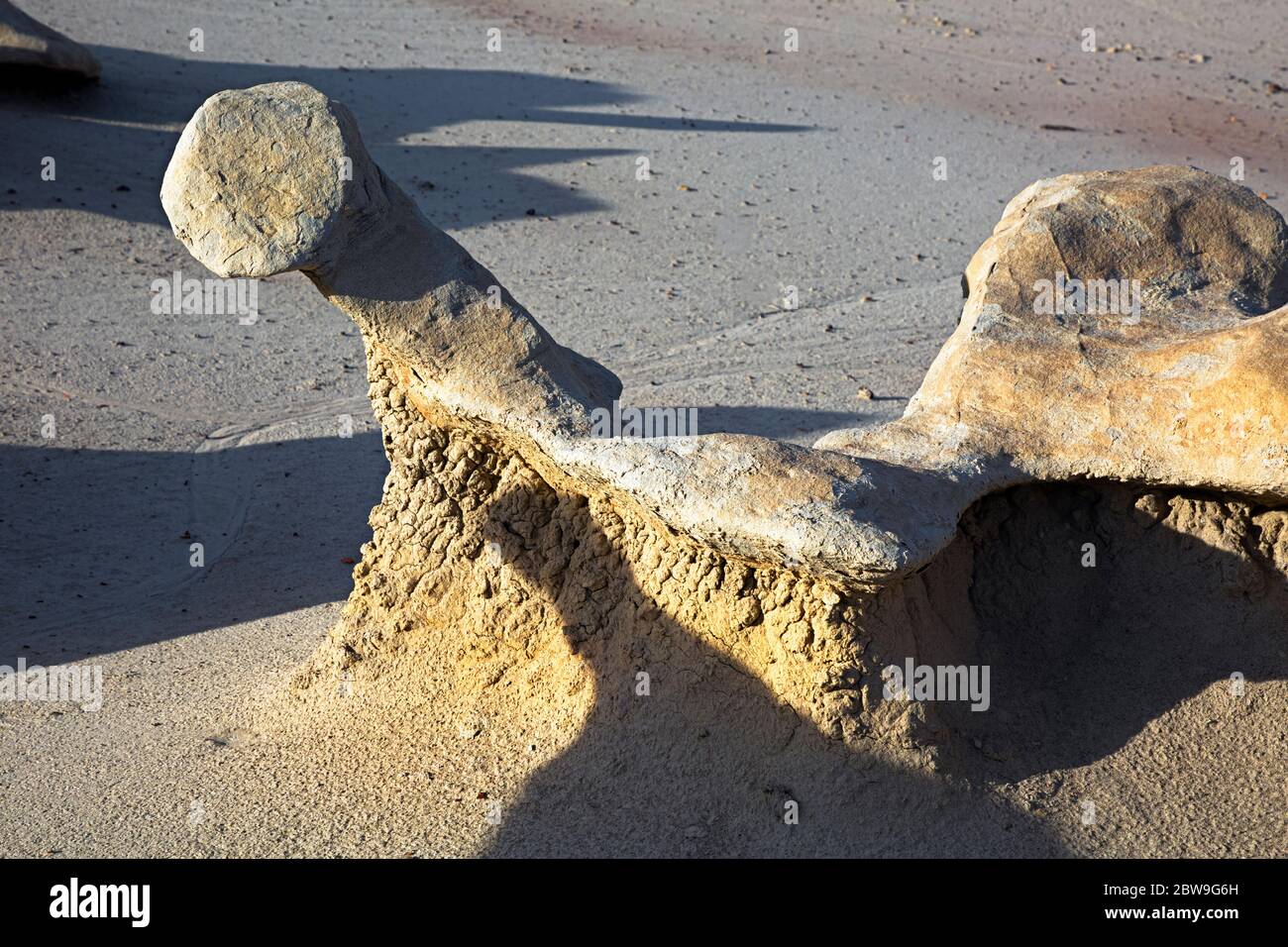 NM00279-00...NEW MEXICO - Ungerade Formen, die durch Verwitterung und Erosion in der Bisti Wildnis entstehen. Stockfoto