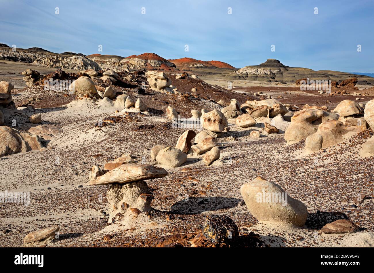 NM00286-00...NEW MEXICO - farbenfrohe Felsen und Felsbrocken in den Badlands der Bisti Wildnis. Stockfoto